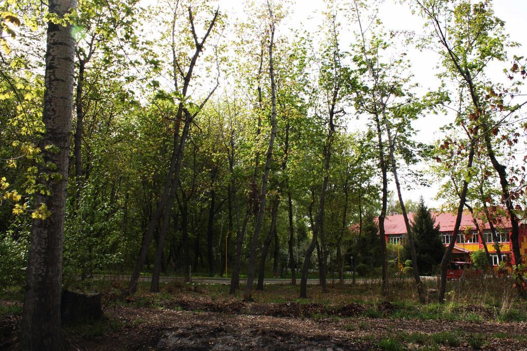 Otel Issyk-Kul Karakol Kültér fotó